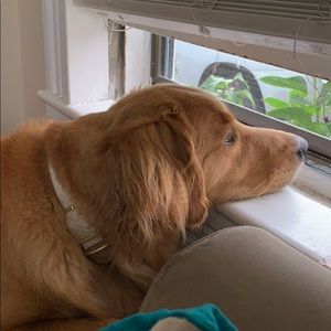 Meet your Posher, Ciaran